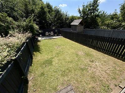 Picture 23